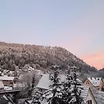 Ferienwohnung Wolfsschlucht Apartmán *