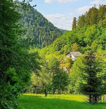 Apartment Ferienwohnung Wolfsschlucht *