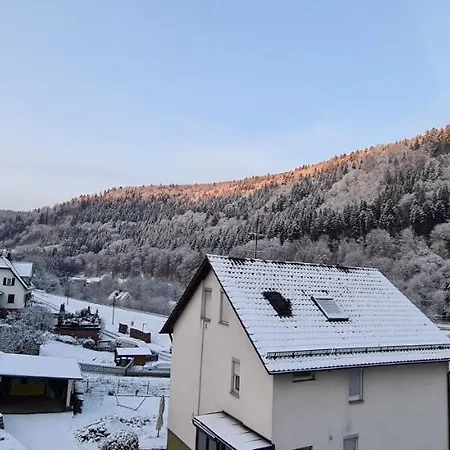 Apartment Ferienwohnung Wolfsschlucht Calw