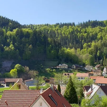 Ferienwohnung Wolfsschlucht شقة *