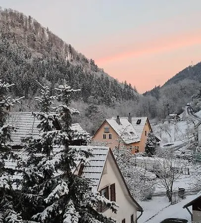 شقة Ferienwohnung Wolfsschlucht *