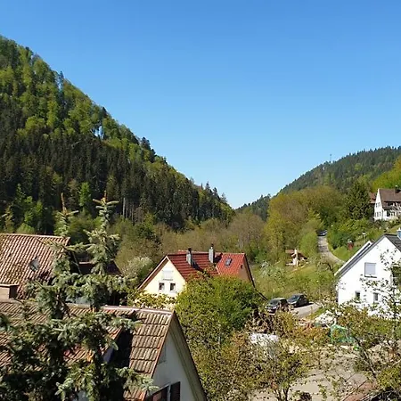 Ferienwohnung Wolfsschlucht شقة كلو
