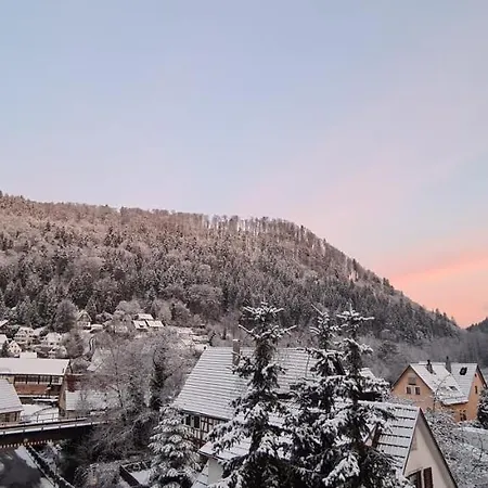 Ferienwohnung Wolfsschlucht Apartman *