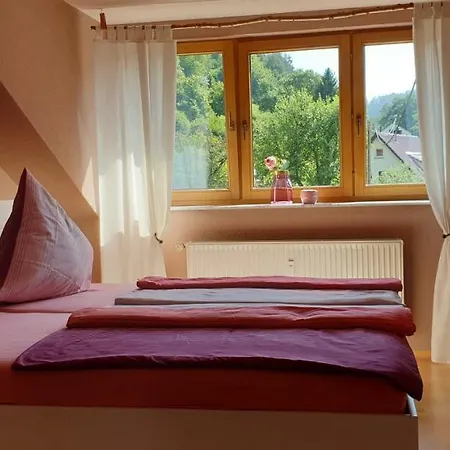 Ferienwohnung Wolfsschlucht شقة كلو