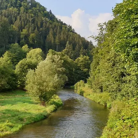 Ferienwohnung Wolfsschlucht Appartement *