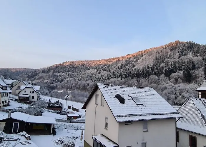 Διαμέρισμα Ferienwohnung Wolfsschlucht Calw