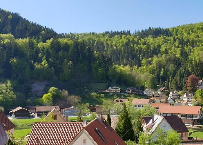 Ferienwohnung Wolfsschlucht Διαμέρισμα *